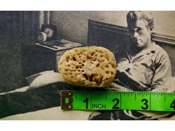 SMALL Natural Sea Sponge (YELLOW) - 1.5"-2.0"