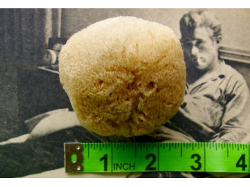 LARGE Natural Sea Sponge (YELLOW) - approx 2.5"